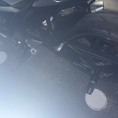 ジクサーGIXXER 250(スズキ 初年度登録令和3年)　ETC、USB、スライダー、キャリア付の画像