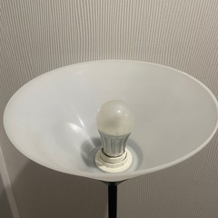 フロア　アップライト
の画像