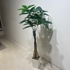 【フェイクグリーン／パキラ 100cm】お譲りします（12/8 当日受け渡し限定）の画像