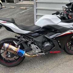 GSX250R アールズギアマフラー　自賠責令和9年12月の画像