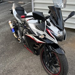 GSX250R アールズギアマフラー　自賠責令和9年12月の画像
