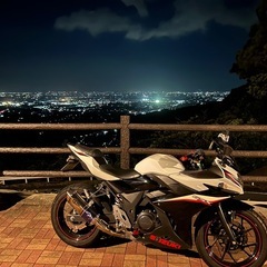 GSX250R アールズギアマフラー　自賠責令和9年12月の画像