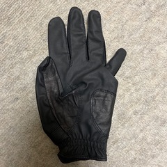 ゴルフグローブの画像