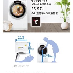 【2025年購入  美品】シャープ ドラム式 洗濯乾燥機　洗濯7kg 乾燥3.5k 一人暮らし 
同棲の画像
