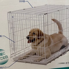 ペットゲージ　Lサイズの画像