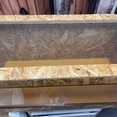 爬虫類ケージの画像