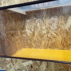 爬虫類ケージの画像