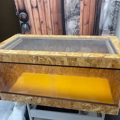 爬虫類ケージの画像