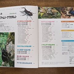 子ども用図鑑（小学館、講談社）計６冊の画像