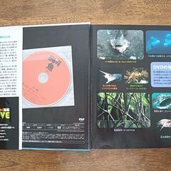 子ども用図鑑（小学館、講談社）計６冊の画像