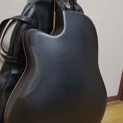 Morris Tornado GZJ (ケース付)の画像