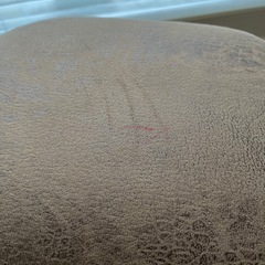 ゾウの椅子の画像