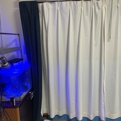 ニトリ　カーテン ＆レース　の画像