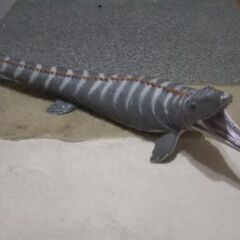 モササウルスの画像