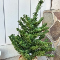 クリスマスツリーの画像