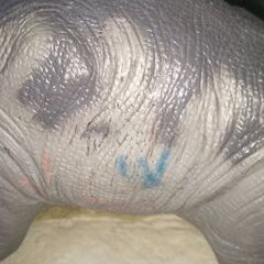 デイプロドクスの画像