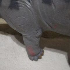 デイプロドクスの画像