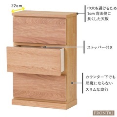 イッセイキ ISSEIKI CORENTCHEST 45 チェストの画像