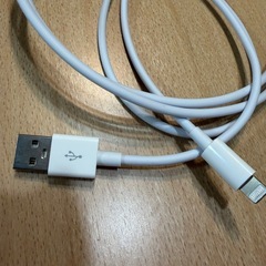 タイプA  充電コードのみの画像