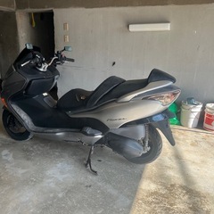 フォルツァ08の画像