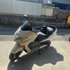 フォルツァ08の画像