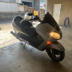 フォルツァ08の画像