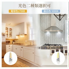 G4口金 12V LEDライト　電球　昼白色の画像