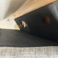 ソファーベッドの画像