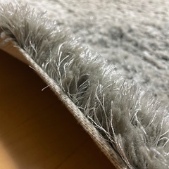 ジャギーラグの画像