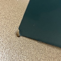 フクロウの画像