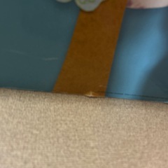 フクロウの画像