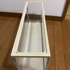 GEX 
水槽の画像