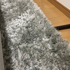 ジャギーラグの画像