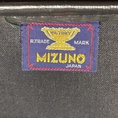 ボーリングのボールとバック（ミズノ）の画像