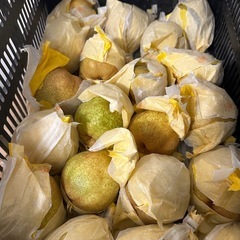 【受付終了
 】洋梨1個100〜150円！12月25日頃お渡ししますの画像