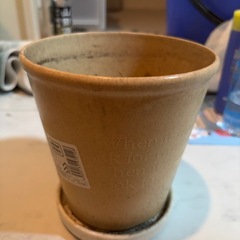 【12月14日まで限定無料】鉢植えセットの画像