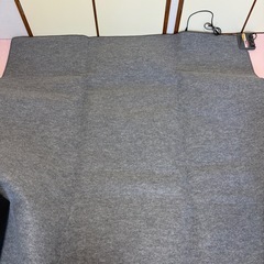  ホットカーペットの画像