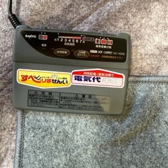  ホットカーペットの画像