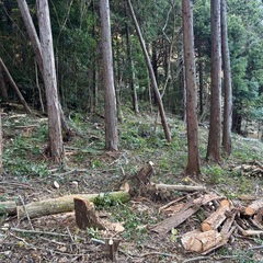 全て無料で薪差し上げます。の画像