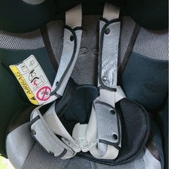 アップリカ　
フラディア　ラクートの画像