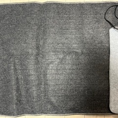 TEKNOS ホットカーペット 1畳の画像