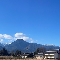 コシヒカリ　自家栽培米　の画像