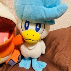 ポケモン ホゲータ クワッス ぬいぐるみの画像