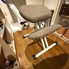 バランスチェア
の画像