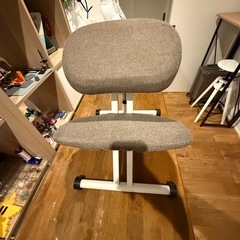 バランスチェア
の画像