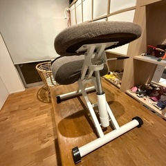 バランスチェア
の画像