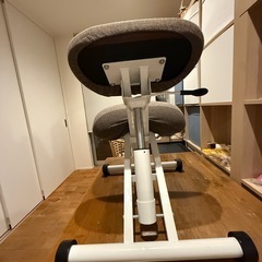 バランスチェア
の画像