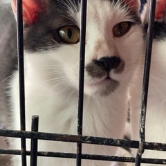 人懐っこい子達ばかりです