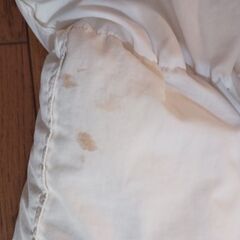 羽毛掛布団　かけふとん　ふとん　羽毛の画像