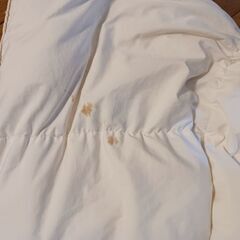 羽毛掛布団　かけふとん　ふとん　羽毛の画像